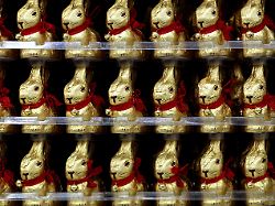 schoko osterhasen stehen in einem verbrauchermarkt im regal