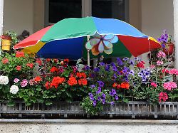 so schoen bunt hier in der auswahl der pflanzen sind mieter nicht limitiert solange sie ruecksicht auf die nachbarn nehmen