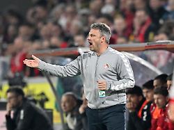 trainer lukasz kwasniok 1 fc koeln gestik fussball 1 bundesliga 25 spieltag 1 fc koeln borussia dortmund 1 2 am 07 03 2026 in koeln deutschland