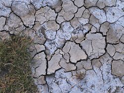trockener boden nationalpark wattenmeer schleswig holstein deutschland