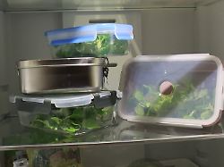 vorratsdosen im test