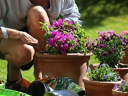 wie und womit wir gaertnern kann fuer das klima einen unterschied machen