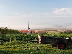 wuelfershausen an der saale rhoen grabfeld unterfranken bayern