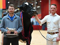 zuechter jannes rohdemann l steht neben der kuh alge gewinnerin des titels miss ostfriesland 2026 insgesamt waren rund 130 kuehe aus ostfriesland und der umgebung bei der 44
