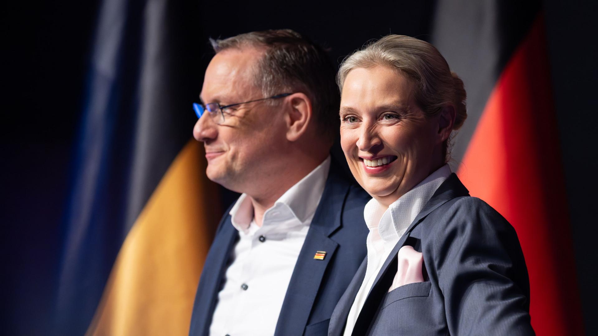 afd chrupalla weidel 108