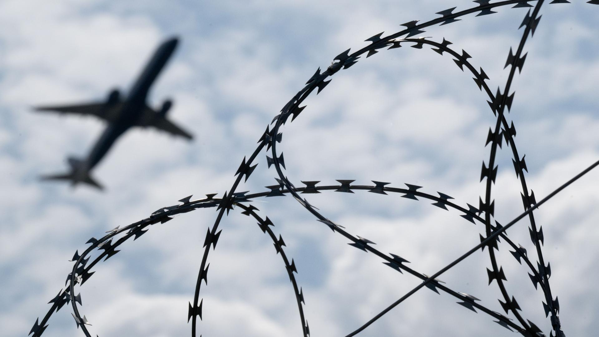 asyl abschiebeflug 100