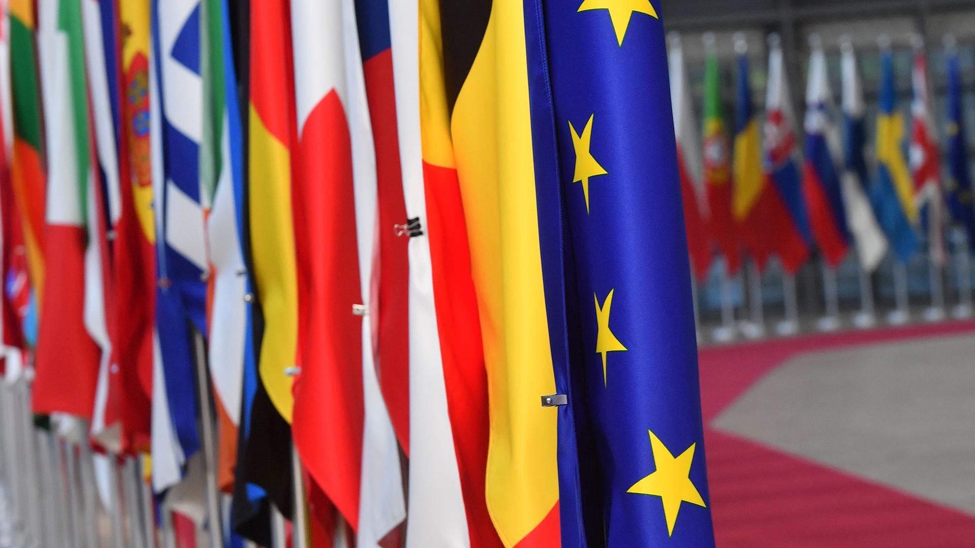 flaggen mitgliedsstaaten eu 100