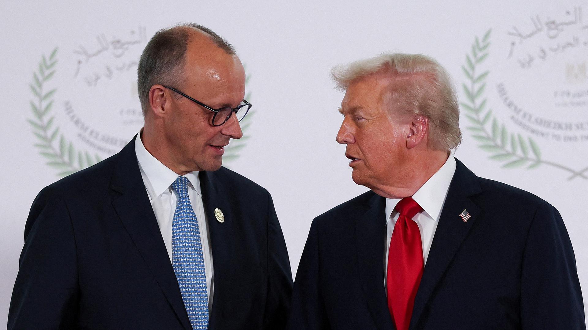 friedrich merz donald trump 100