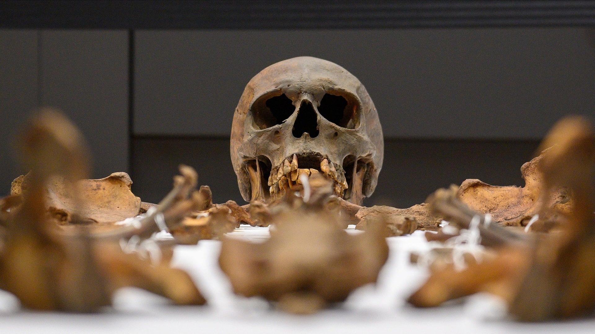 mdr die gebeine otto des grossen 100