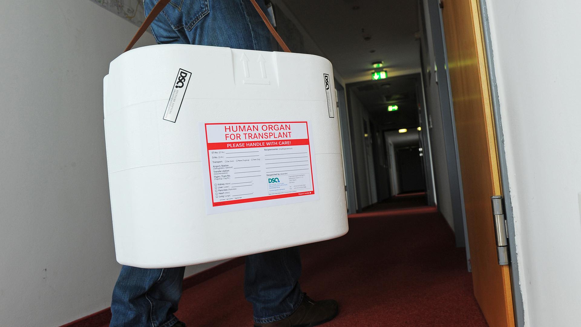 organ transplantation 101