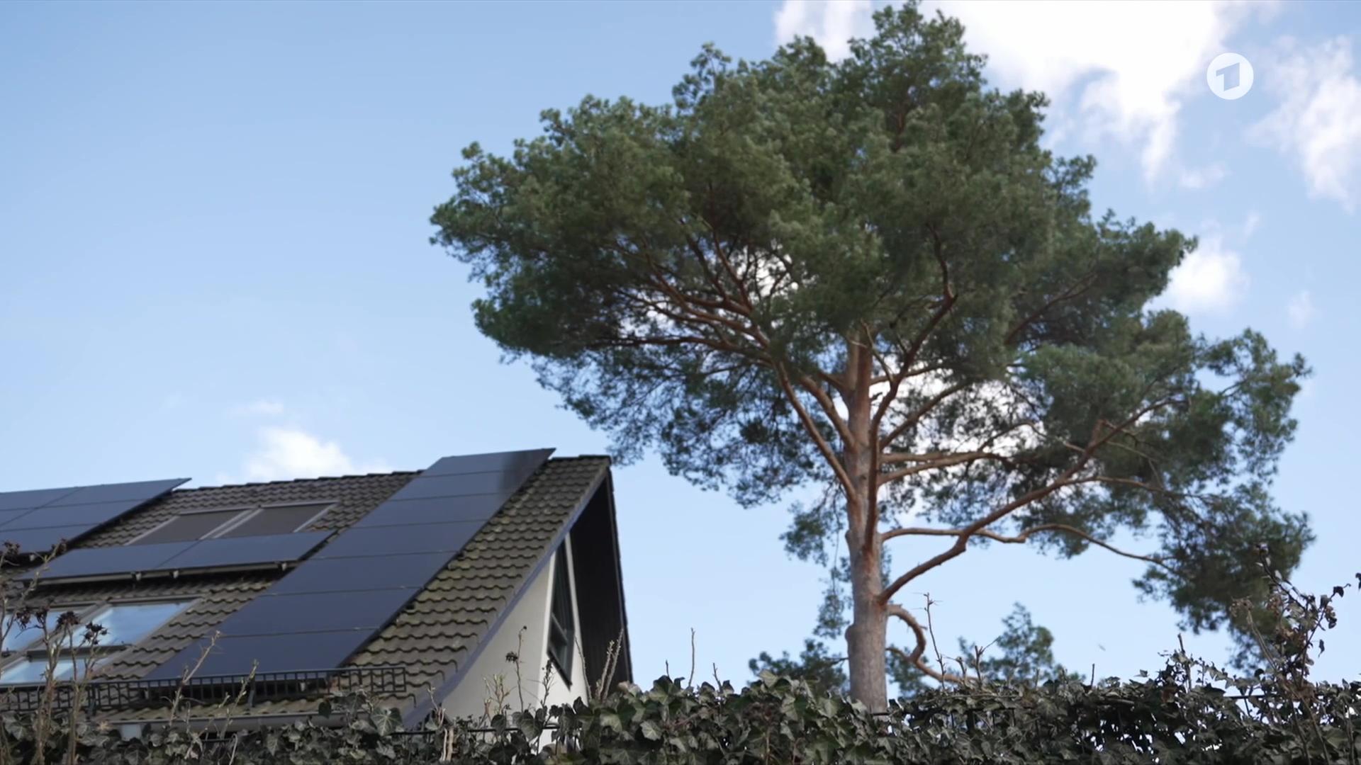 sendungsbild 1703476