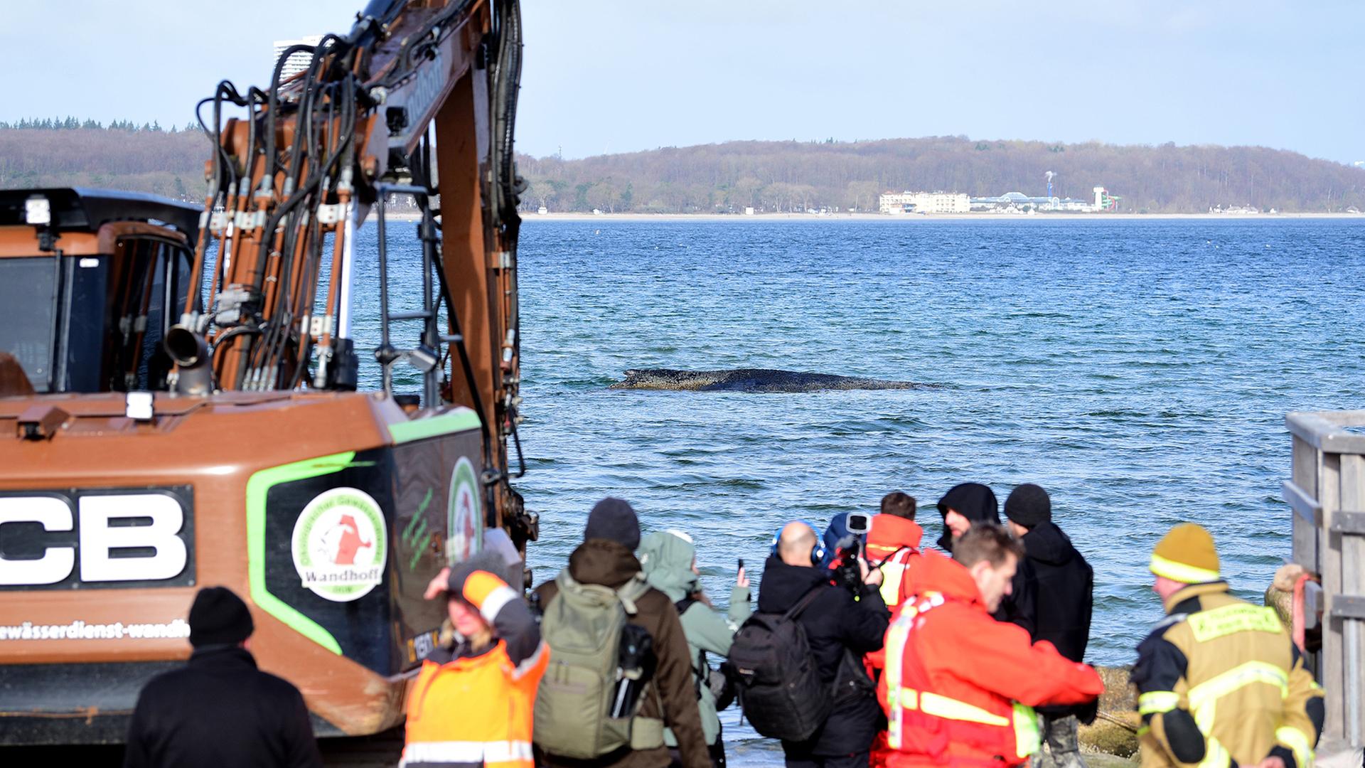 wal timmendorfer strand 100