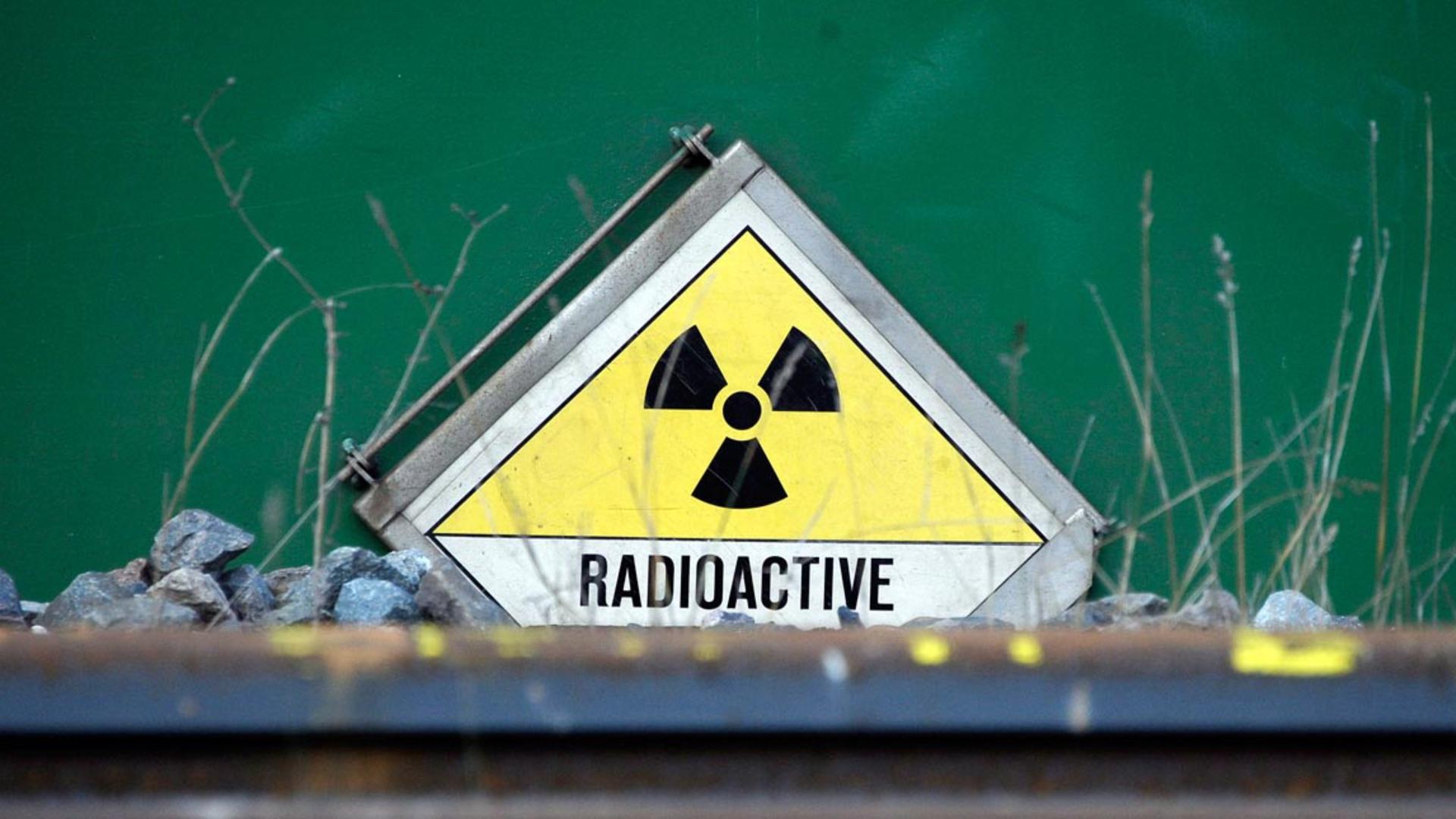 wdr castoren in juelich 100