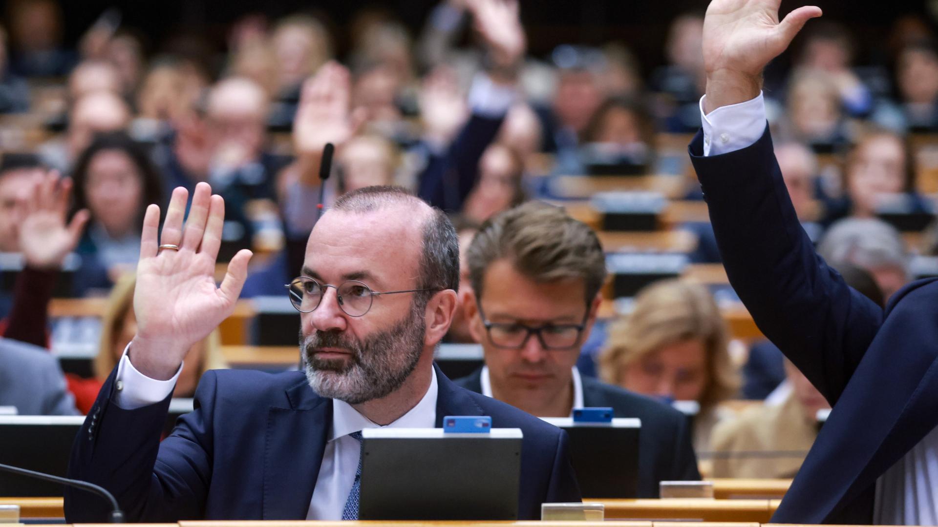 weber eu parlament 100