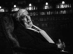 53172562 6c9f 46d9 be97 4bd81939cd9d.jfif 20adorfbygiesa