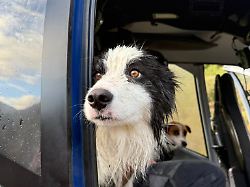 660537767 1555099146622246 7719056871147119922 n