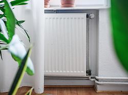 blick vorbei an gruenen pflanzen auf einen weissen heizkoerper darueber auf einer fensterbank pflanzen in terrakottatoepfen am 24 august 2022 in bonn