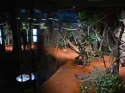 das innengehege in dem australienhaus terra australis in der wilhelma stuttgart