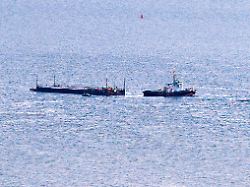 das schiff robin hood zieht am abend vor wismar die barge mit dem gestrandetem wal in richtung ostsee luftaufnahme mit einer drohne