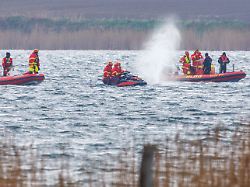 der buckelwal vor der insel poel schwimmt frei und wird von helfern in schlauchbooten begleitet die dem wal die richtung zum offenen meer zeigen