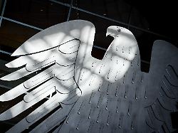 der bundesadler wird im plenarsaal des bundestags von der sonne angestrahlt