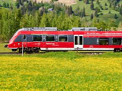 deutsche bahn regionalzug werdenfelsbahn faehrt auf schienen vor einer gruenen wiese mit gelben blumen
