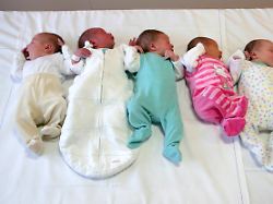 deutschland st augustin 13 07 2012 asklepios kinderklinik neugeborene 5 in einer reihe