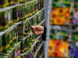 die qual der wahl samentuetchen verlocken doch nicht alles passt am ende in den garten