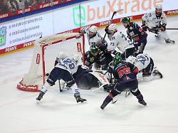 eishockey maenner del eisbaeren berlin adler mannheim meisterschaftsrunde finale 4 spieltag uber arena alexander ehl l adler mannheim trifft zum 3 3