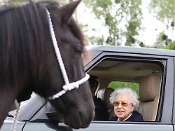 entertainment bilder des tages 13 05 2022 windsor united kingdom queen elizabeth ii at the royal windsor horse show united kingdom