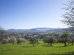 fruehlingshafte panoramaansicht von bissingen an der teck und albtrauf mit bluehenden apfel malus domestica und birnbaeumen pyrus communis