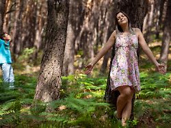 gruppe beim waldbaden shinrin yoku symbolbild model releases modellfreigabe vorhanden