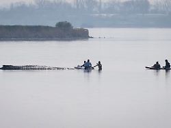 helfer naehern sich dem wal fuer den bei wismar gestrandeten buckelwal beginnt damit ein neuer rettungsversuch umgesetzt wird das konzept von einer privaten initiative