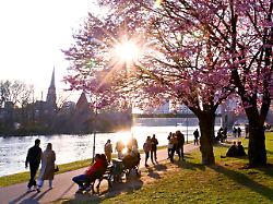 hessen frankfurt main 22 maerz 2026 die untrgehende sonne wirft ihr licht auf eine bluehende zierkirche am mainufer 1