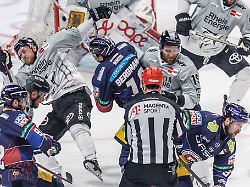 im vergangenen jahr setzten sich die eisbaeren berlin im finale der del gegen die koelner haie durch nun geht es erneut gegen koeln
