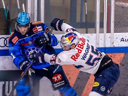 ingolstadt deutschland 31 maerz 2026 penny del 2025 2026 playoff viertelfinale spiel 4 erc ingolstadt gegen ehc red bull muenchen im bild v li