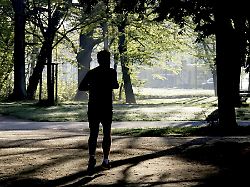 jogger in einem park fruehjahr deutschland europa modellfreigabe vorhanden