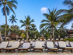 liegestuehle am strand am chaweng beach thailand ko samui chaweng beach thailand ko samui