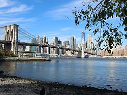 new york usa new york new york city stadt metropole 19 01 2026 die skyline von manhattan und die brooklyn bridge mit dem east river usa new york new york city stadt metropole 19 01