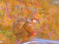 screenshot202026 04 2020162656