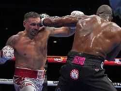 usyk l haelt jetzt die guertel der vier wichtigsten box verbaende