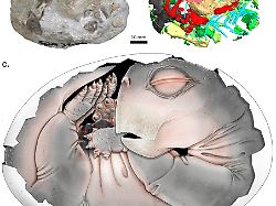 journal.pone .0345016.g001