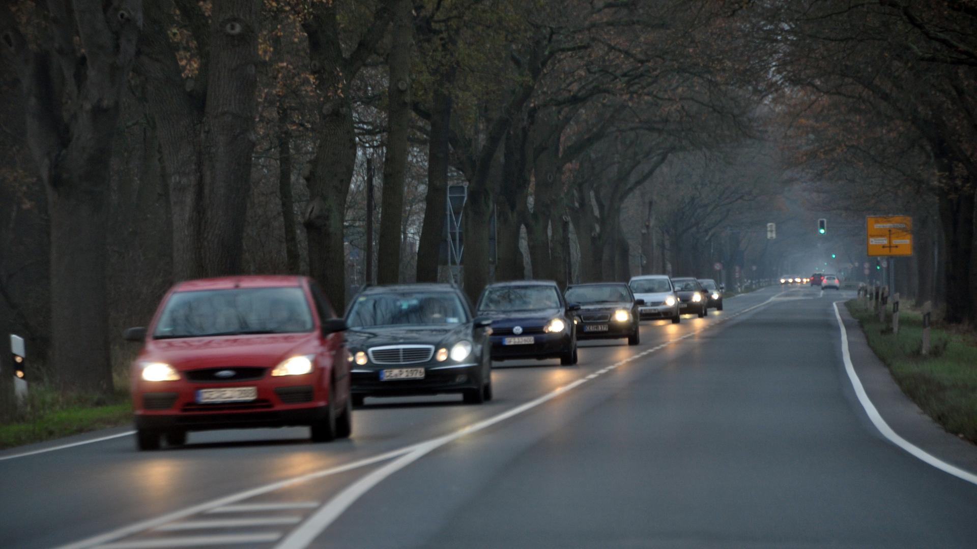 landstrasse autos 100