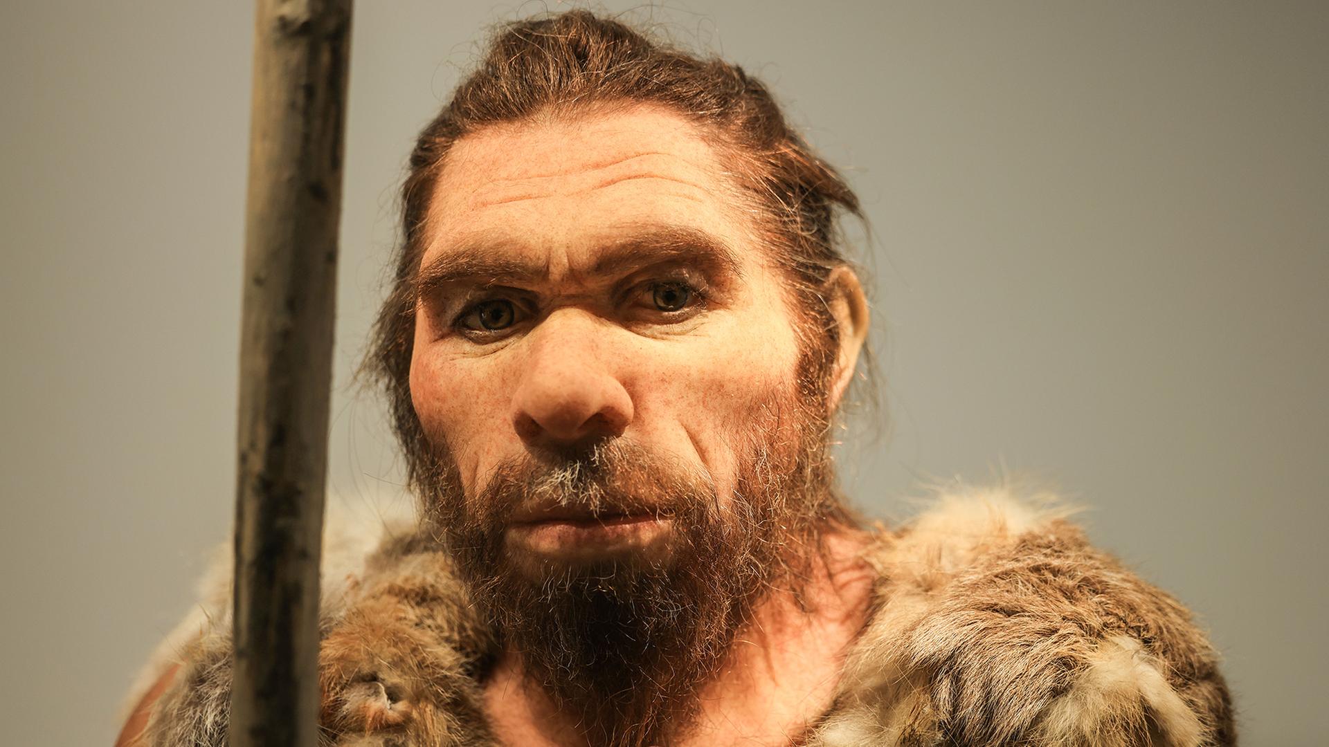 neandertaler 160