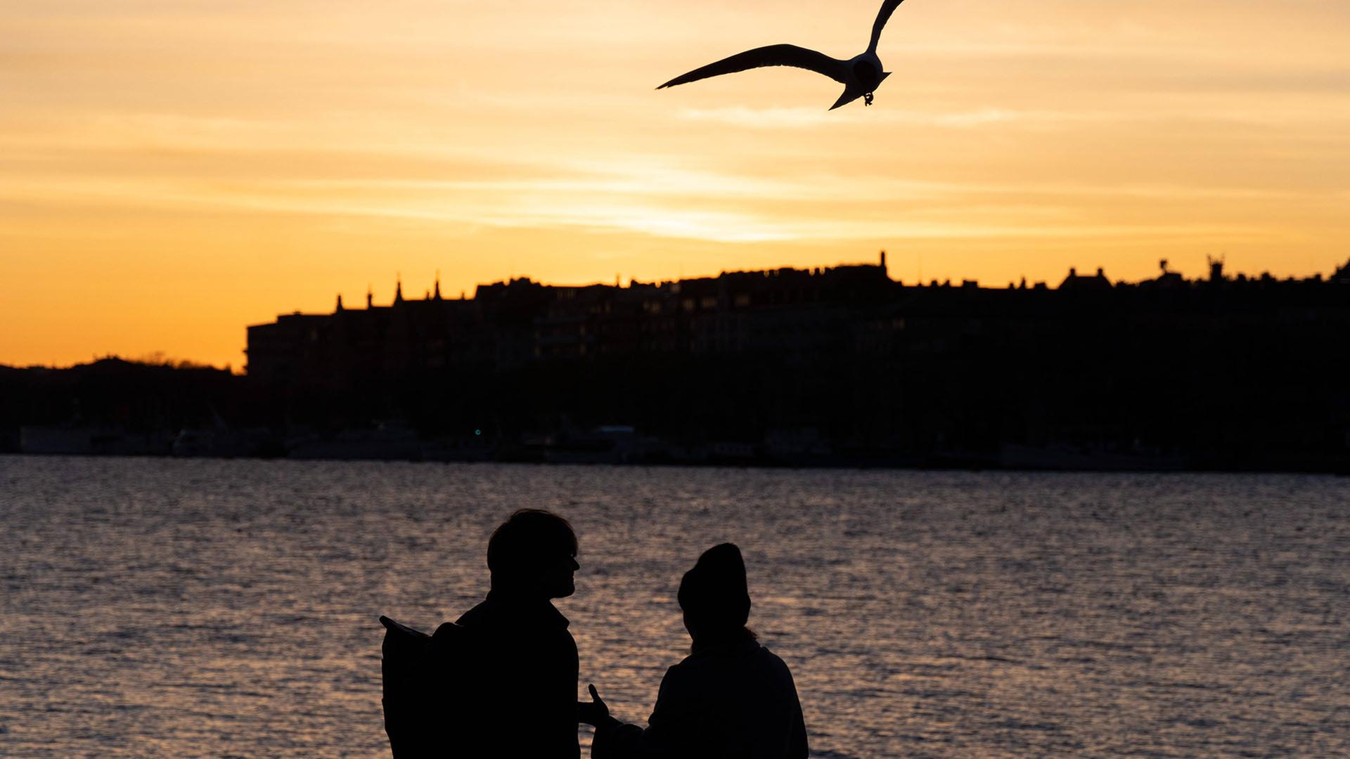 stockholm sonnenuntergang 100