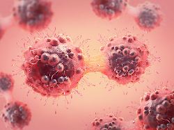 3d illustration of a cancer cell in the process of mitosis