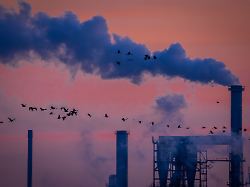 archiv 18 12 2025 mecklenburg vorpommern wismar kraniche fliegen bei sonnenaufgang ueber industrieanlagen in wismar 34