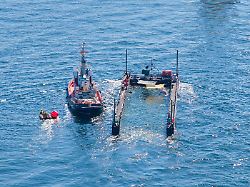 das schutznetz an der barge das den buckelwal bei seinem transport aus der ostsee bislang vom offenen wasser trennte ist entfernt worden gleichzeitig wurde der lastkahn sichtbar weiter geflutet
