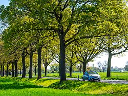 die weller landstrasse eine knapp 4 kilometer lange baumallee landstrasse westlich von kevelaer am niederrhein nrw deutschland