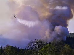 firefighters are intervening this afternoon at a forest fire in rynartice part of the village of jetrichovice in the bohemian switzerland national park czech republic may 2 2026